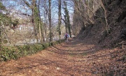 35 La Mercatorum prosegue in piano, poi si alza a sfiorare pareti rocciose nascoste nel bosco..